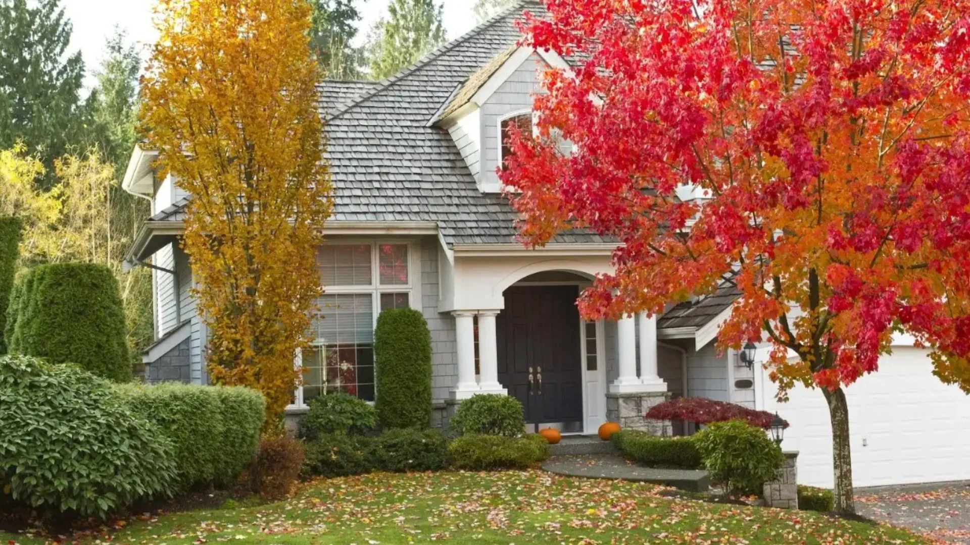 Charming home surrounded by vibrant autumn foliage, featuring red and orange trees and well-maintained landscaping.