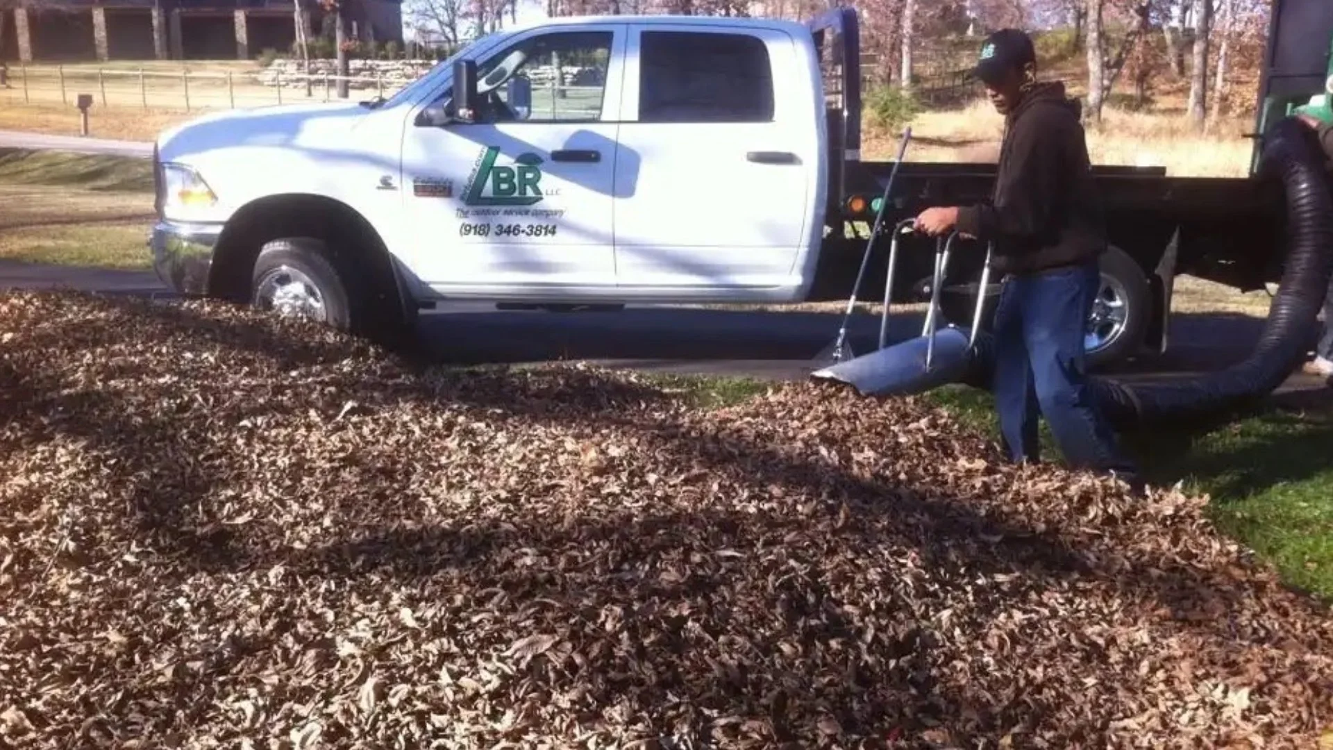 Landscapers using equipment to collect and remove fallen leaves from a yard, with a work truck in the background