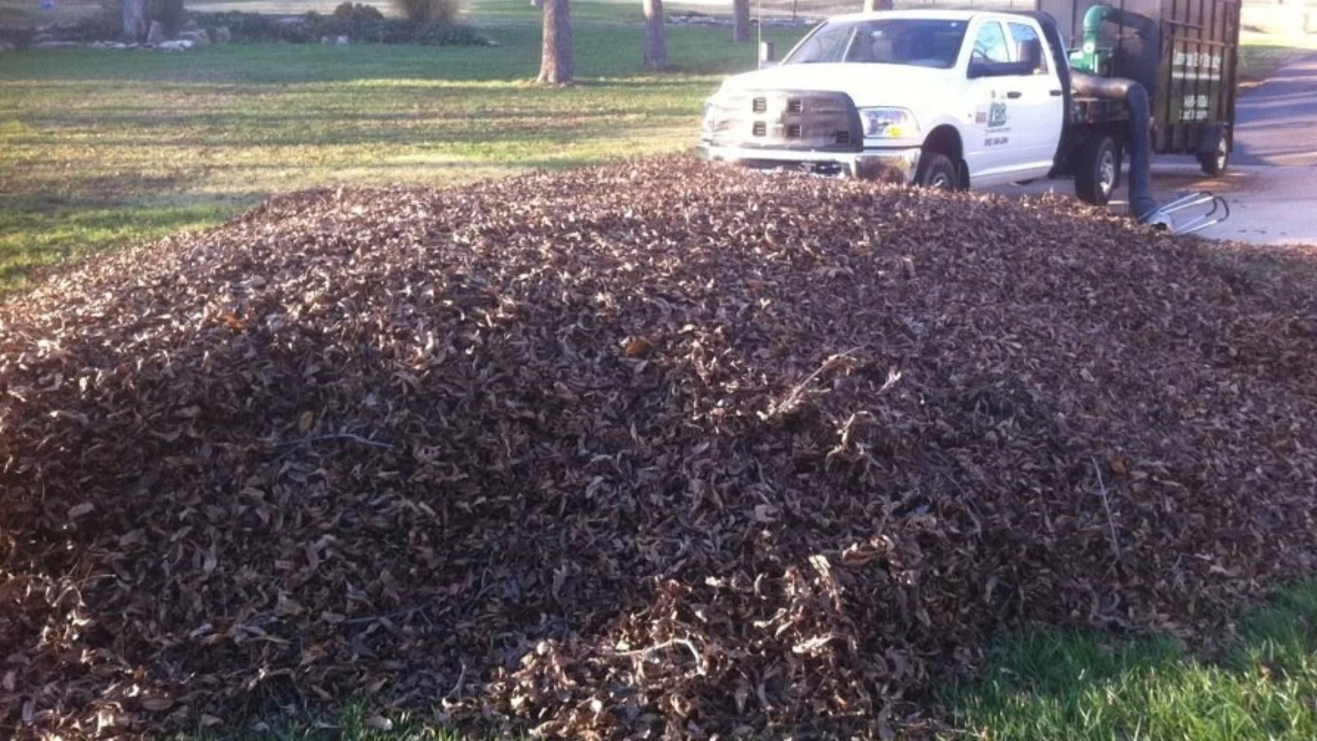 Is It Bad to Keep the Leaves on Your Lawn Over the Winter?