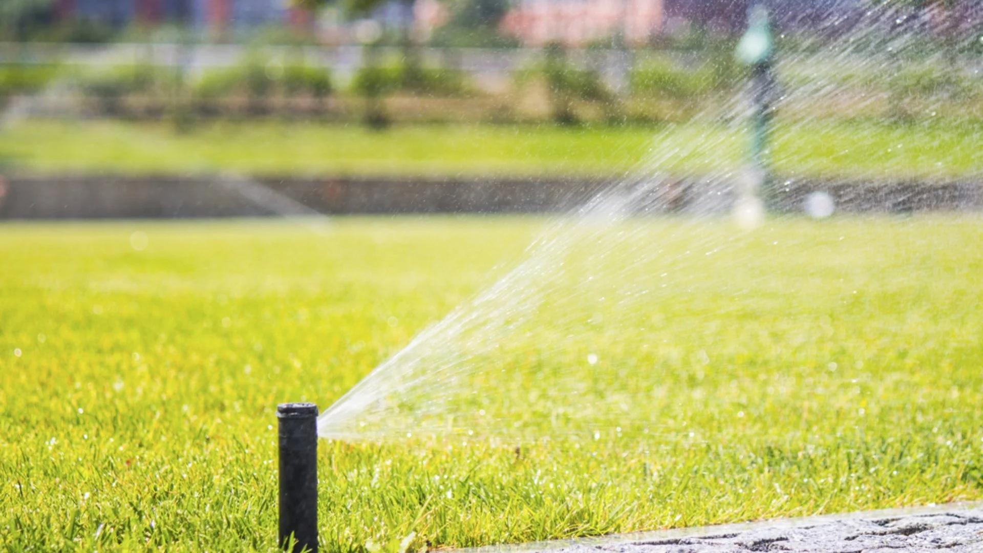 Sprinkler system watering a grassy area in a park, with water spraying over the lawn.