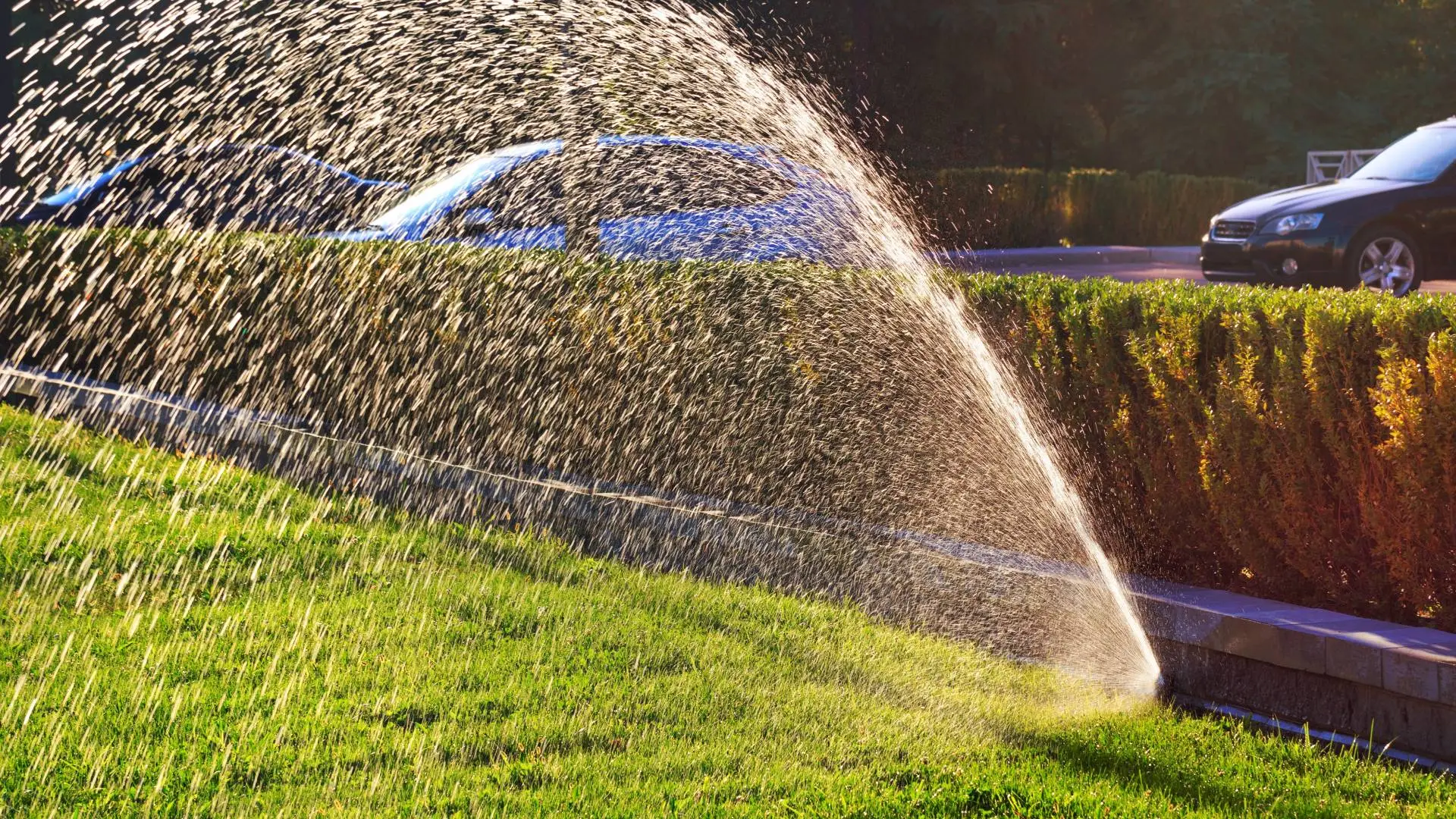 How To Winterize My Sprinkler System
