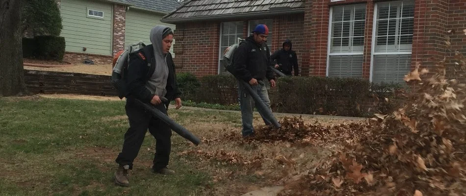 Crew removing leaves out of a lawn in Tulsa, OK.