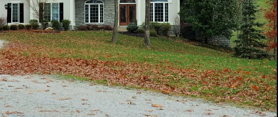 Green lawn in Tulsa, OK, covered in brown leaves.