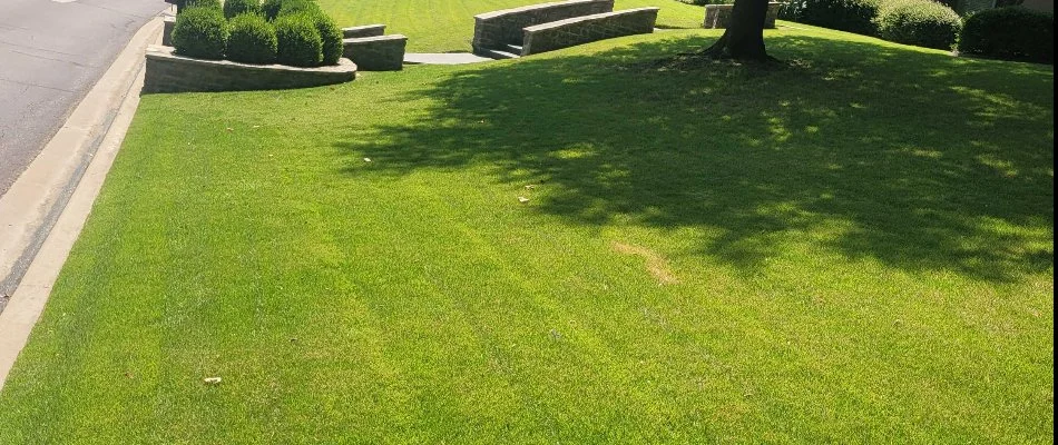 Healthy, weed-free lawn in a front yard in Tulsa, OK.