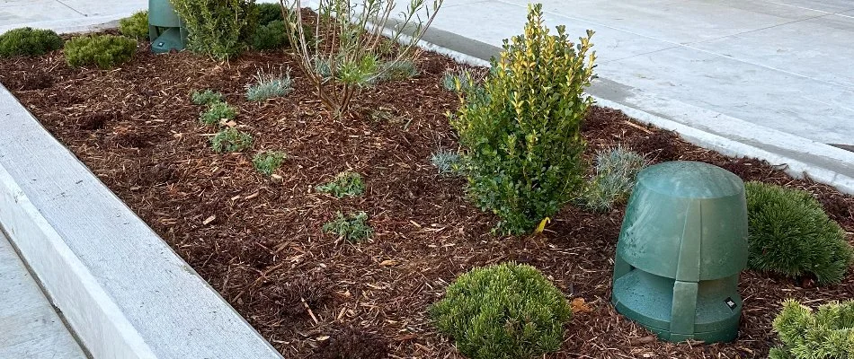 Landscape bed in Tulsa, OK, with fresh mulch and green shrubs.