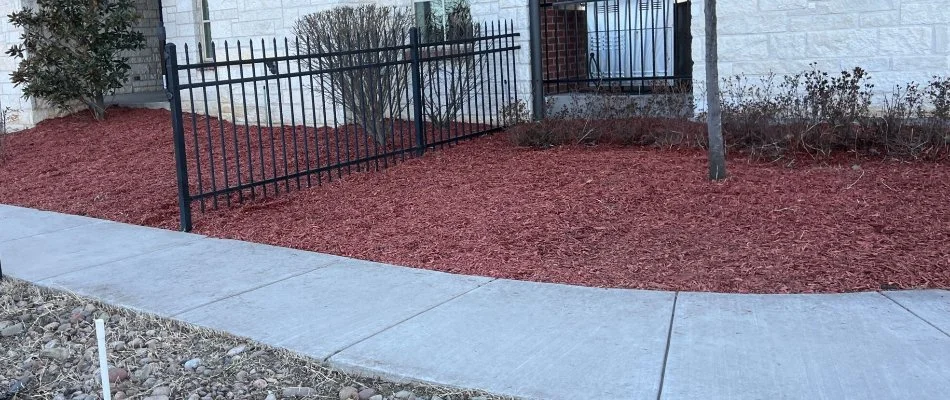 Mulch on a landscape bed in Tulsa, OK, beside a walkway.