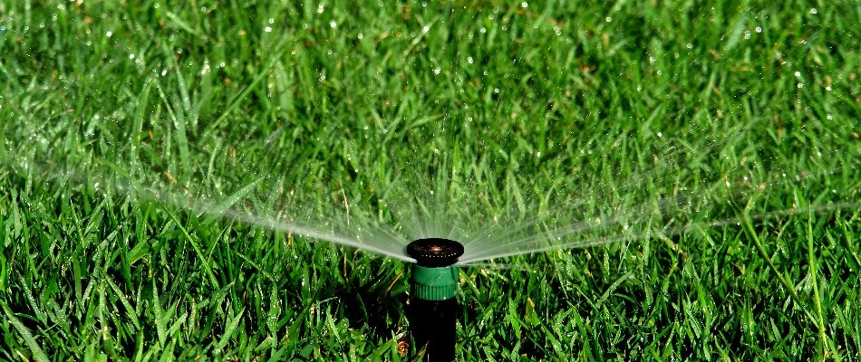 Grass being watered by sprinkler head in Oakhurst, OK.