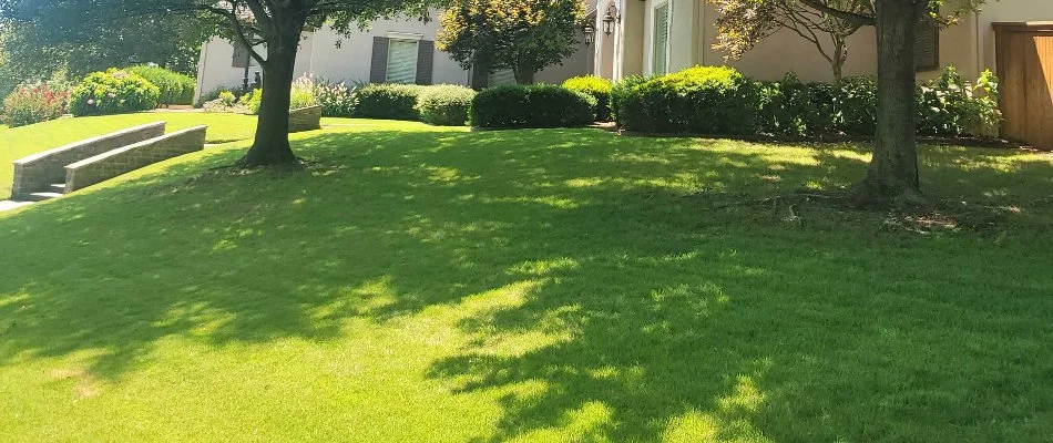 Healthy lawn at residence in Tulsa County, OK.