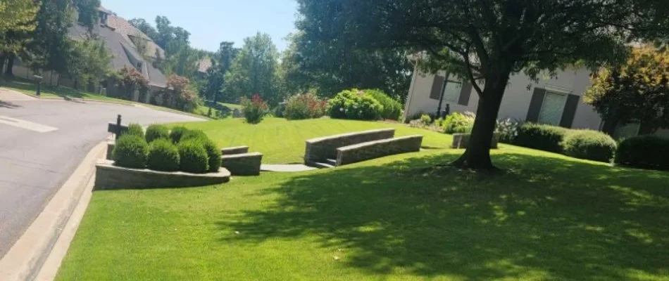 Sunny landscape with well-maintained grassy area and garden features in a residential neighborhood.