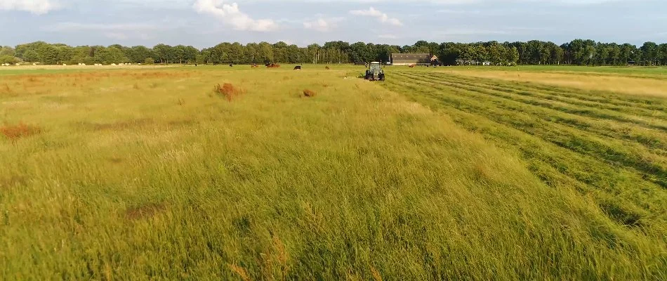 Large lot in Tulsa, OK, being cleared.