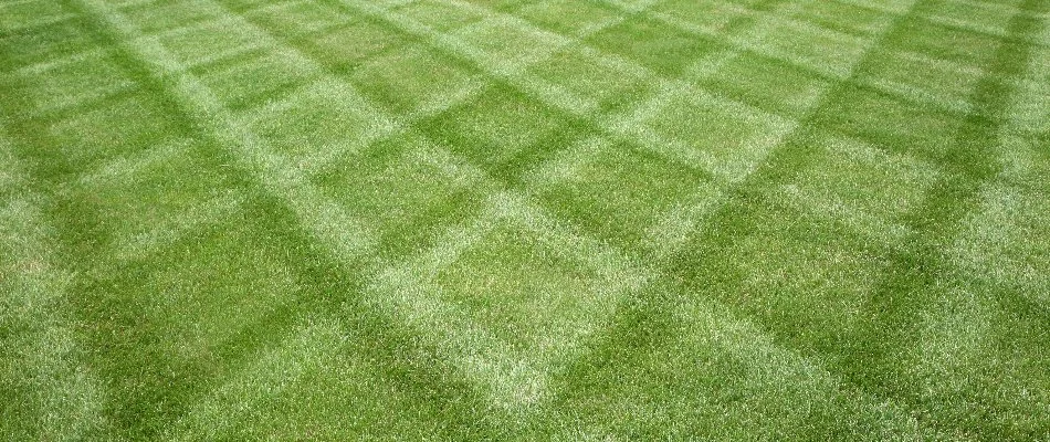 Lawn with mowing stripes in Berryhill, OK.