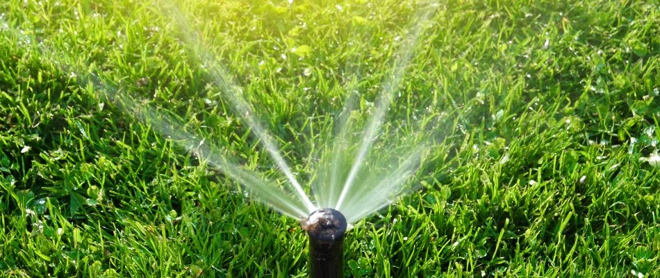 Sprinkler on a lawn in Berryhill, OK, spraying water.