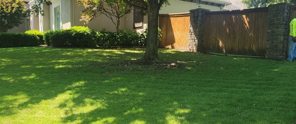 Thick green lawn in Oakhurst, OK, under a tree's shade.